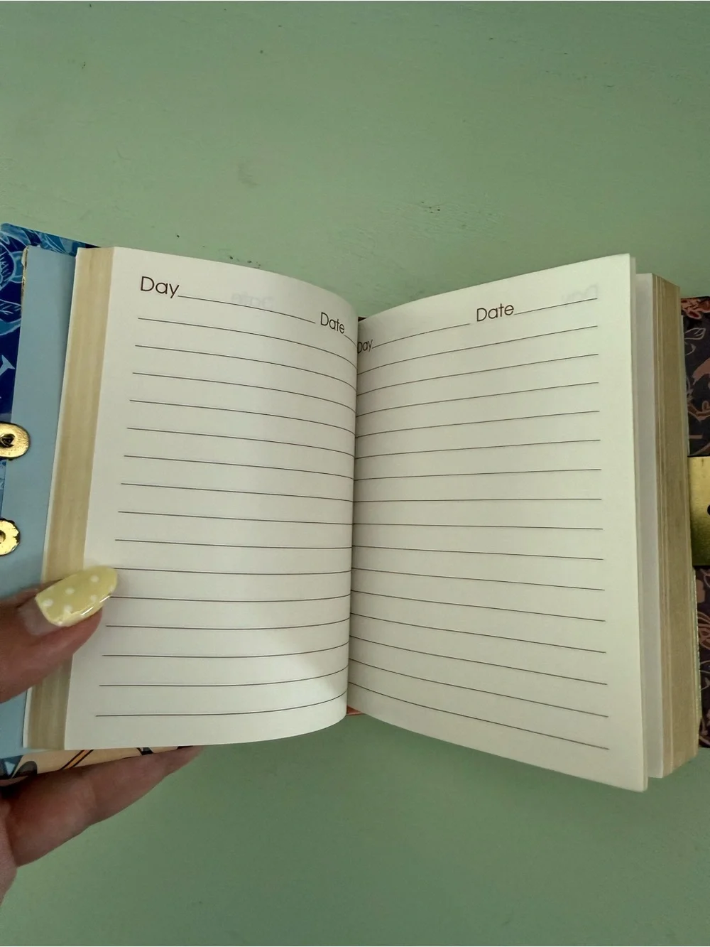 Vintage 1996 Looney Tunes Blues Taz Locked Book Diary New Tasmanian Devil